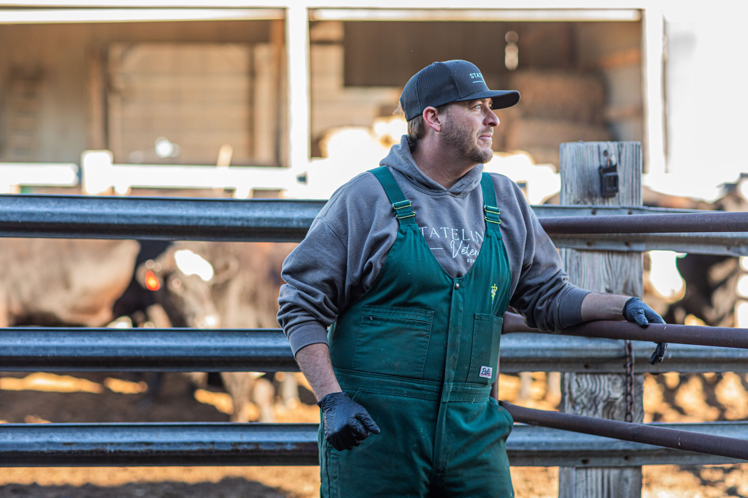 A farmer in green overalls and a black baseball cap observes cows behind a metal fence, creating a calm atmosphere on the farm. "STATELINE VETERINARY SERVICES."